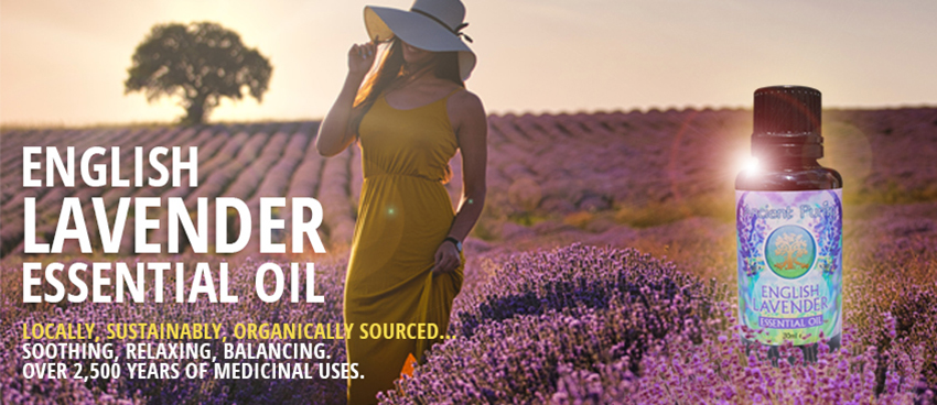 english lavender - essential oil (relax/rejuvenate) 30ml