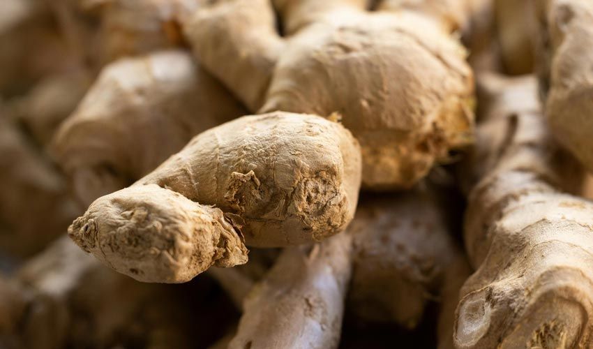 Benefits of Ginger Unveiled