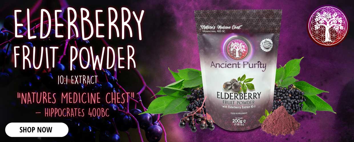 Elderberry Fruit