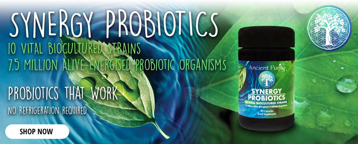 Synergy Probiotics