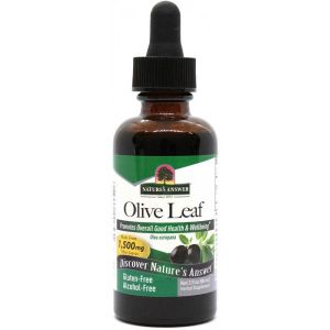 Olive Leaf Tincture