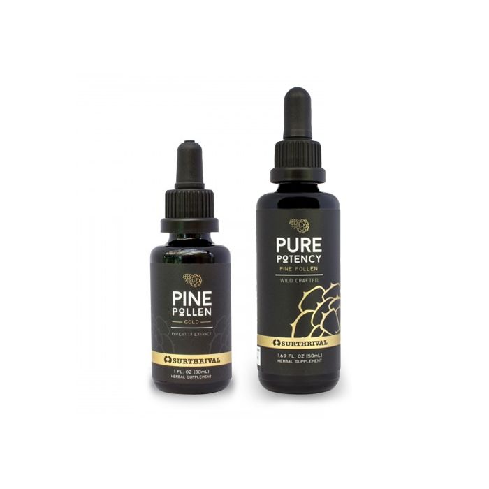 Surthrival UK - Wild Harvested Pine Pollen Gold