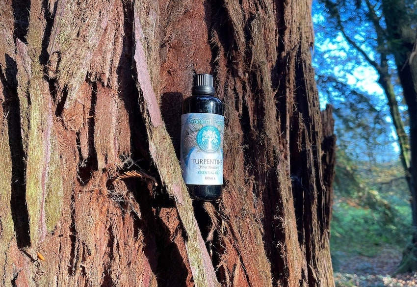Buy Tamas Pure Ayurveda 100% Natural Turpentine Pinus Palustris Oil 30ml  Online at Best Price
