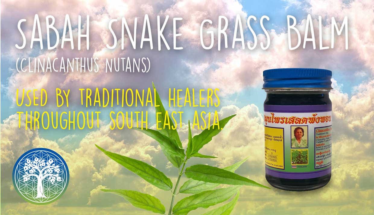 Snake Grass Balm (Healing Balms) 50ml | Ancient Purity