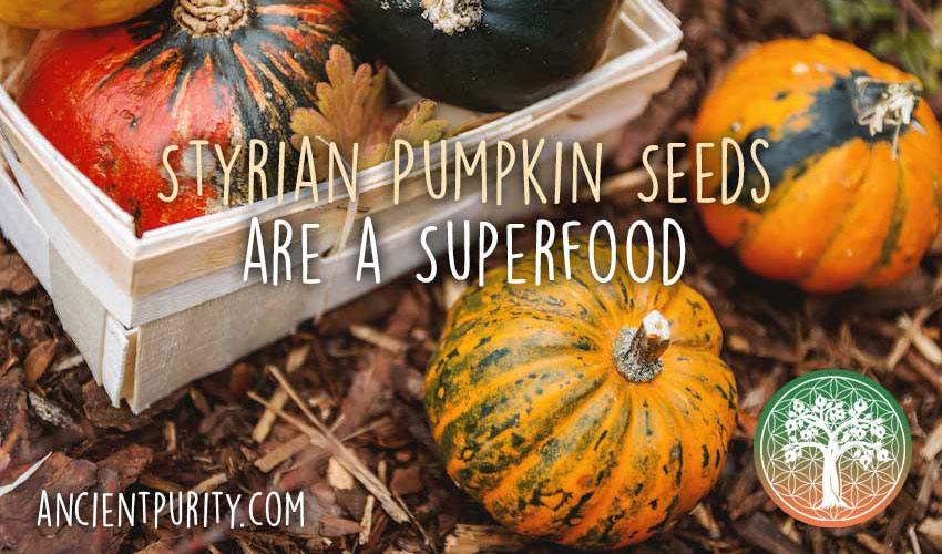 Pumpkin Seeds