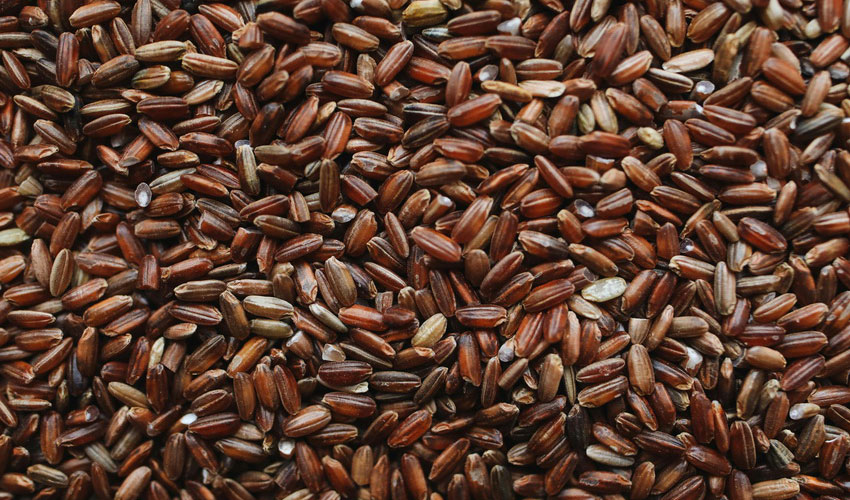 Brown Rice