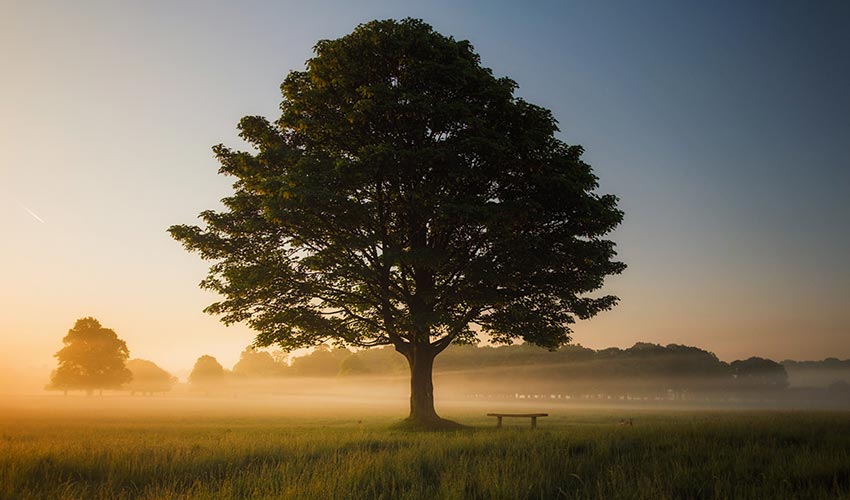 Connecting with Nature