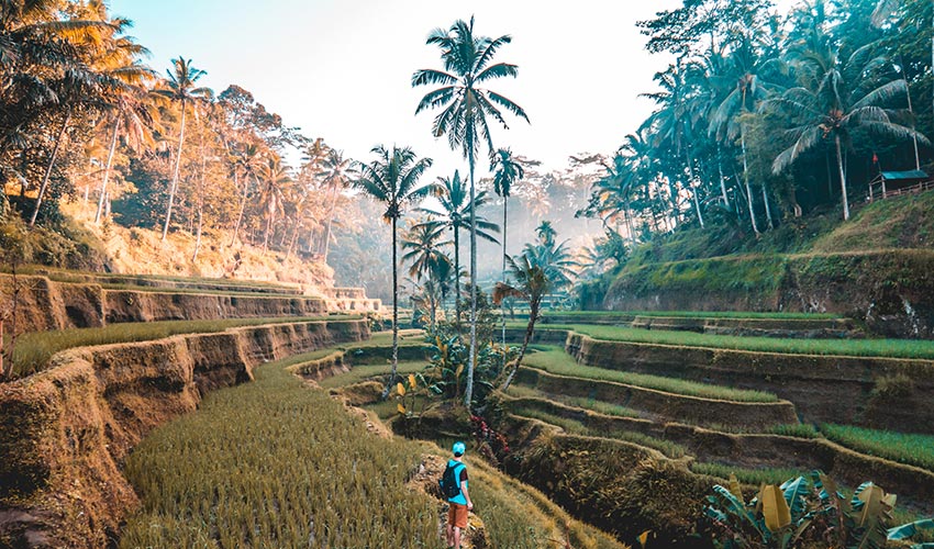 Eco Travel Bali