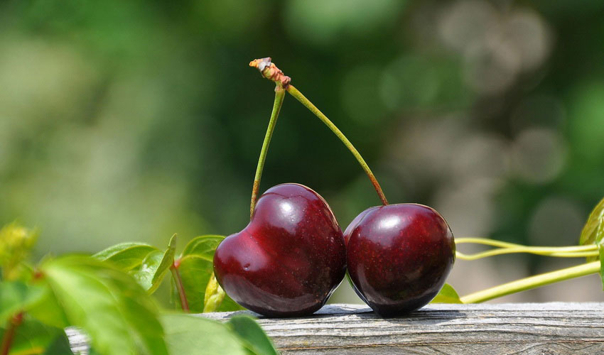 Enhanced by Cherries