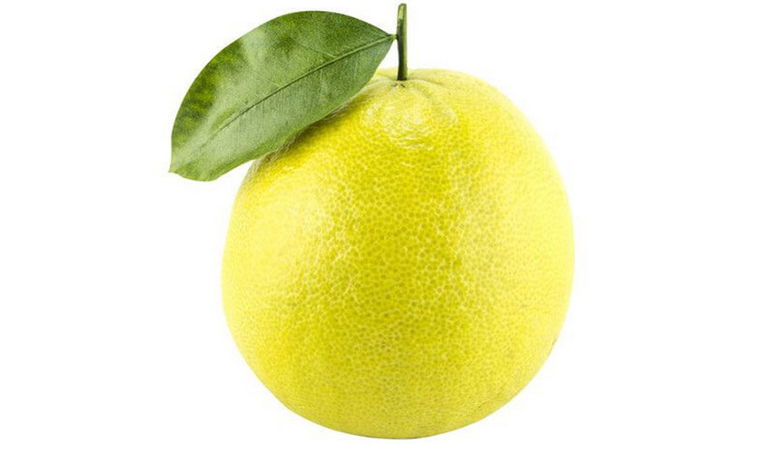 What is Bergamot