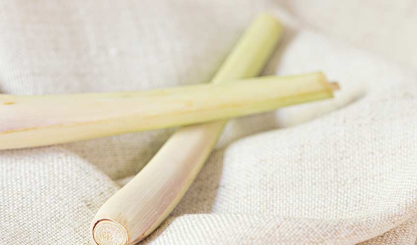 Lemongrass