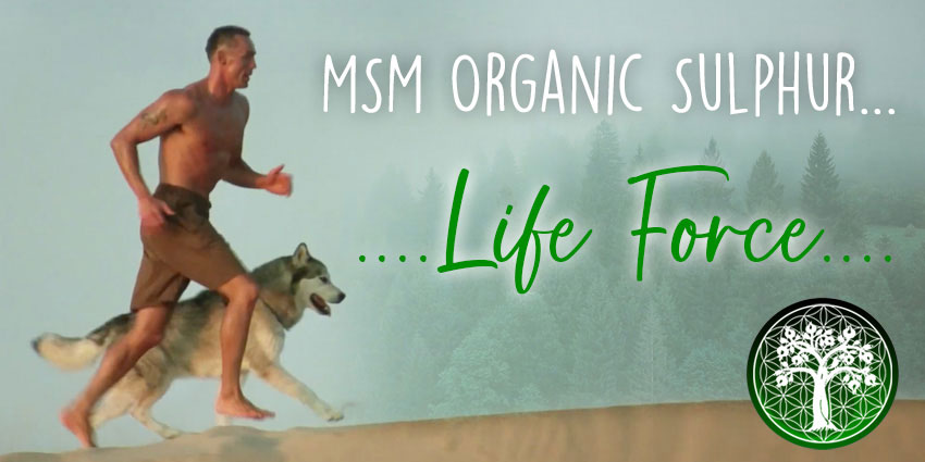 MSM Organic