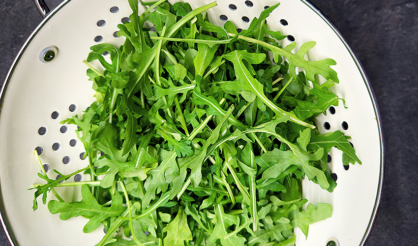 Grow Arugula