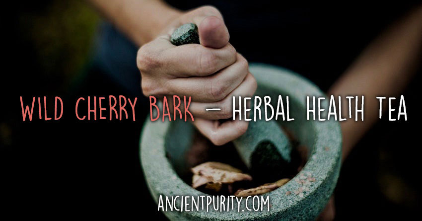 The Science Behind Wild Cherry Bark