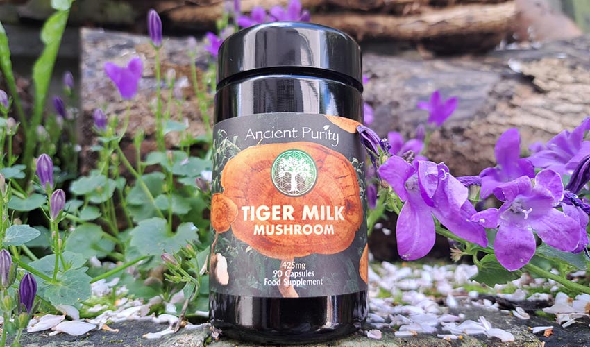 Tiger Milk Supplementation